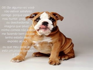 08) Se alguma vez você não estiver satisfeito comigo, porque estou de mau humor, preguiçoso ou desobediente, imagina que talvez a minha comida não esteja me fazendo bem ou que tenho estado muito exposto ao sol,  ou que meu coração já está um pouco cansado e fraco.  