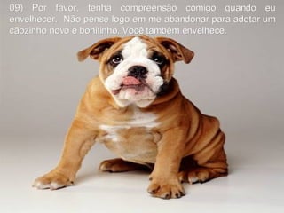 09) Por favor, tenha compreensão comigo quando eu envelhecer.  Não pense logo em me abandonar para adotar um cãozinho novo e bonitinho. Você também envelhece. 