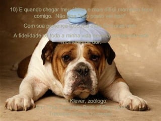 10) E quando chegar meu último e mais difícil momento fique comigo.  Não diga "não posso ver isso".  Com sua presença tudo fica mais fácil para mim.  A fidelidade de toda a minha vida deveria compensar este momento de dor. Ulrich Klever, zoólogo, Em: "The Complete Book of Dog Care" Tradução Christa Kurmeier   