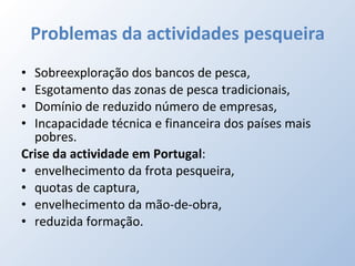 Problemas da actividades pesqueira Sobreexploração dos bancos de pesca, Esgotamento das zonas de pesca tradicionais, Domínio de reduzido número de empresas, Incapacidade técnica e financeira dos países mais pobres. Crise da actividade em Portugal :  envelhecimento da frota pesqueira, quotas de captura, envelhecimento da mão-de-obra, reduzida formação. 