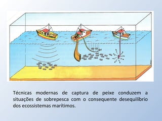 Técnicas modernas de captura de peixe conduzem a situações de sobrepesca com o consequente desequilíbrio dos ecossistemas marítimos. 