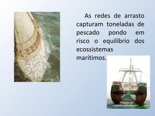 As redes de arrasto capturam toneladas de pescado pondo em risco o equilíbrio dos ecossistemas marítimos. 