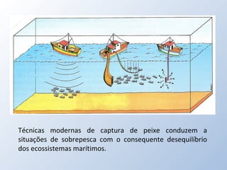 Técnicas modernas de captura de peixe conduzem a situações de sobrepesca com o consequente desequilíbrio dos ecossistemas ...