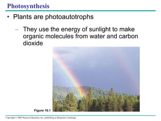 Photosynthesis ,[object Object],[object Object],Figure 10.1 