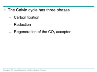 The Calvin cycle has three phases Carbon fixation Reduction Regeneration of the CO 2  acceptor 