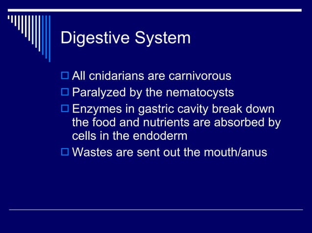 10. Phyla Cnidaria and Ctenophora | PPT