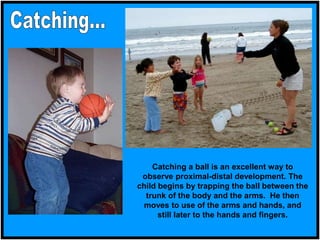 Catching a ball is an excellent way to
observe proximal-distal development. The
child begins by trapping the ball between the
trunk of the body and the arms. He then
moves to use of the arms and hands, and
still later to the hands and fingers.
 
