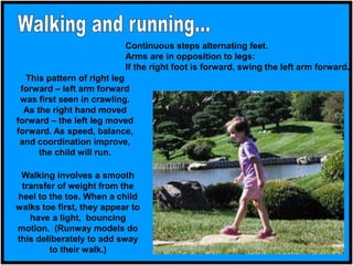Continuous steps alternating feet.
Arms are in opposition to legs:
If the right foot is forward, swing the left arm forward.
This pattern of right leg
forward – left arm forward
was first seen in crawling.
As the right hand moved
forward – the left leg moved
forward. As speed, balance,
and coordination improve,
the child will run.
Walking involves a smooth
transfer of weight from the
heel to the toe. When a child
walks toe first, they appear to
have a light, bouncing
motion. (Runway models do
this deliberately to add sway
to their walk.)
 