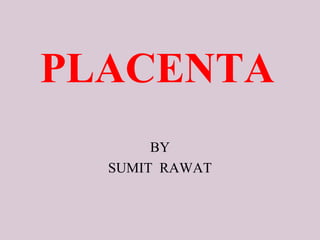 PLACENTA
BY
SUMIT RAWAT
 