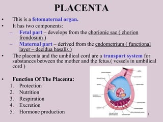1
PLACENTA
• This is a fetomaternal organ.
• It has two components:
– Fetal part – develops from the chorionic sac ( chorion
frondosum )
– Maternal part – derived from the endometrium ( functional
layer – decidua basalis )
• The placenta and the umbilical cord are a transport system for
substances between the mother and the fetus.( vessels in umbilical
cord )
• Function Of The Placenta:
1. Protection
2. Nutrition
3. Respiration
4. Excretion
5. Hormone production
 
