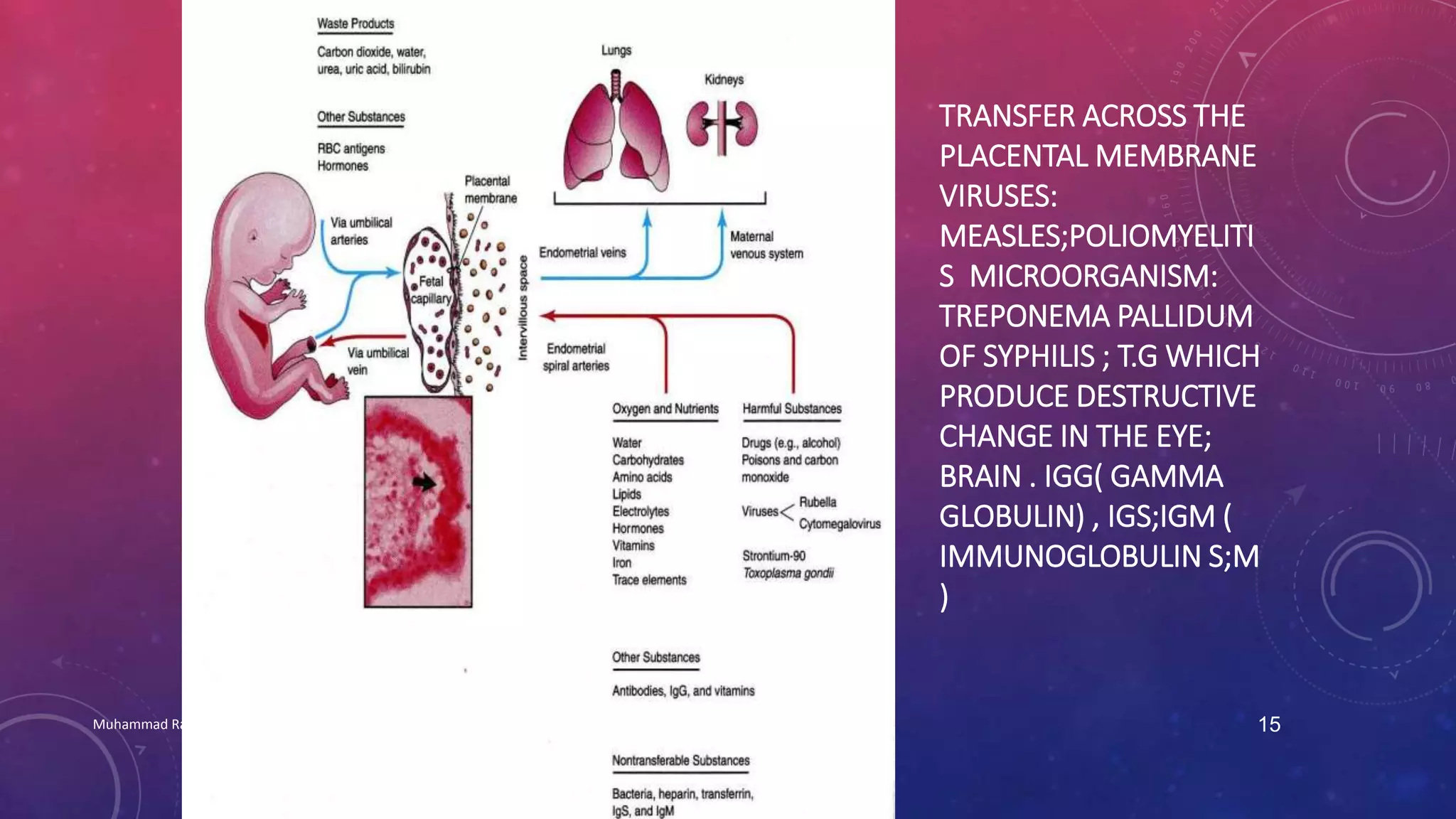 TRANSFER ACROSS THE 
PLACENTAL MEMBRANE 
VIRUSES: 
MEASLES;POLIOMYELITI 
S MICROORGANISM: 
TREPONEMA PALLIDUM 
OF SYPHILIS ; T.G WHICH 
PRODUCE DESTRUCTIVE 
CHANGE IN THE EYE; 
BRAIN . IGG( GAMMA 
GLOBULIN) , IGS;IGM ( 
IMMUNOGLOBULIN S;M 
) 
Muhammad Ramzan Ul Rehman 15 
 