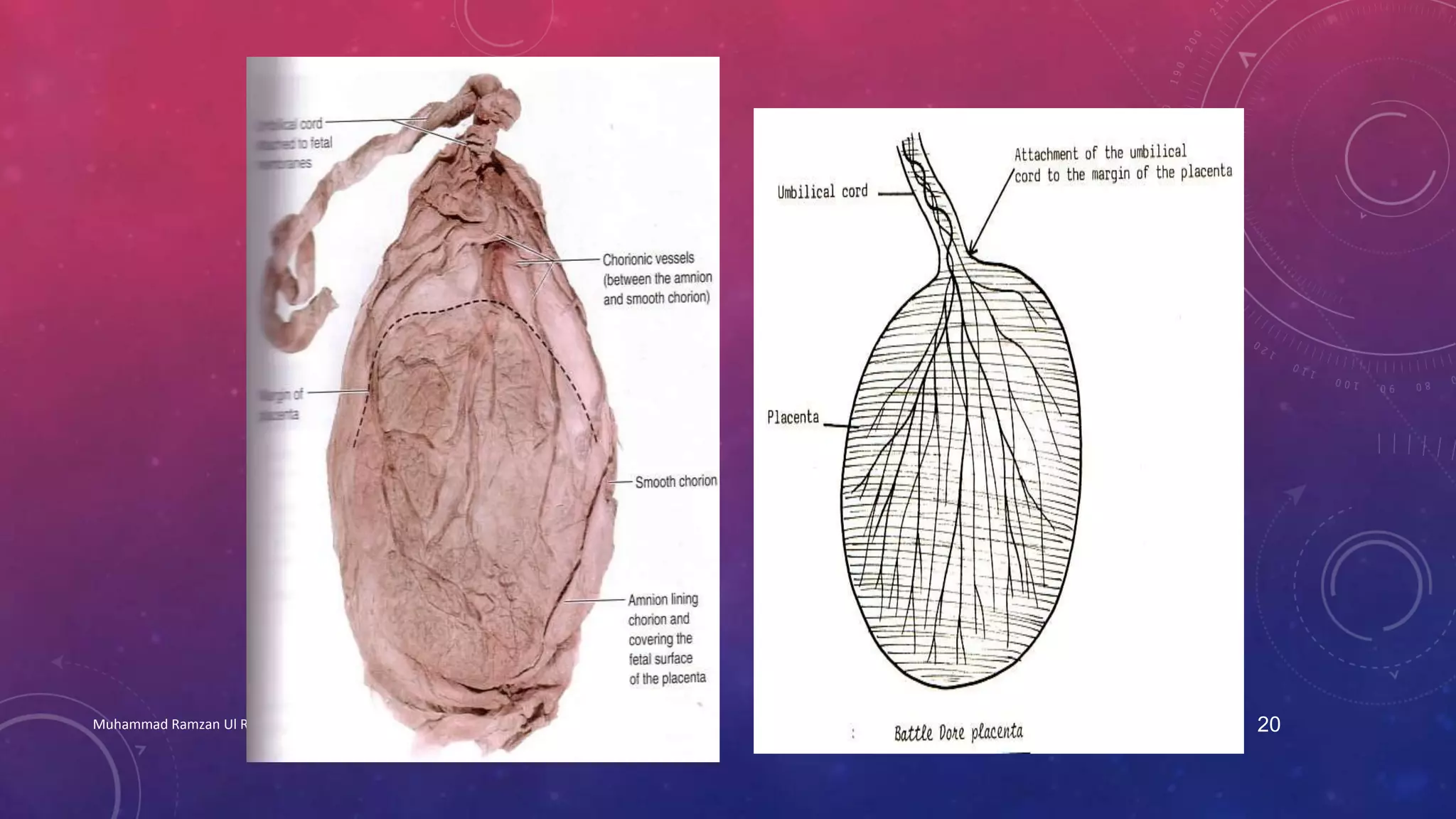 Muhammad Ramzan Ul Rehman 20 
 