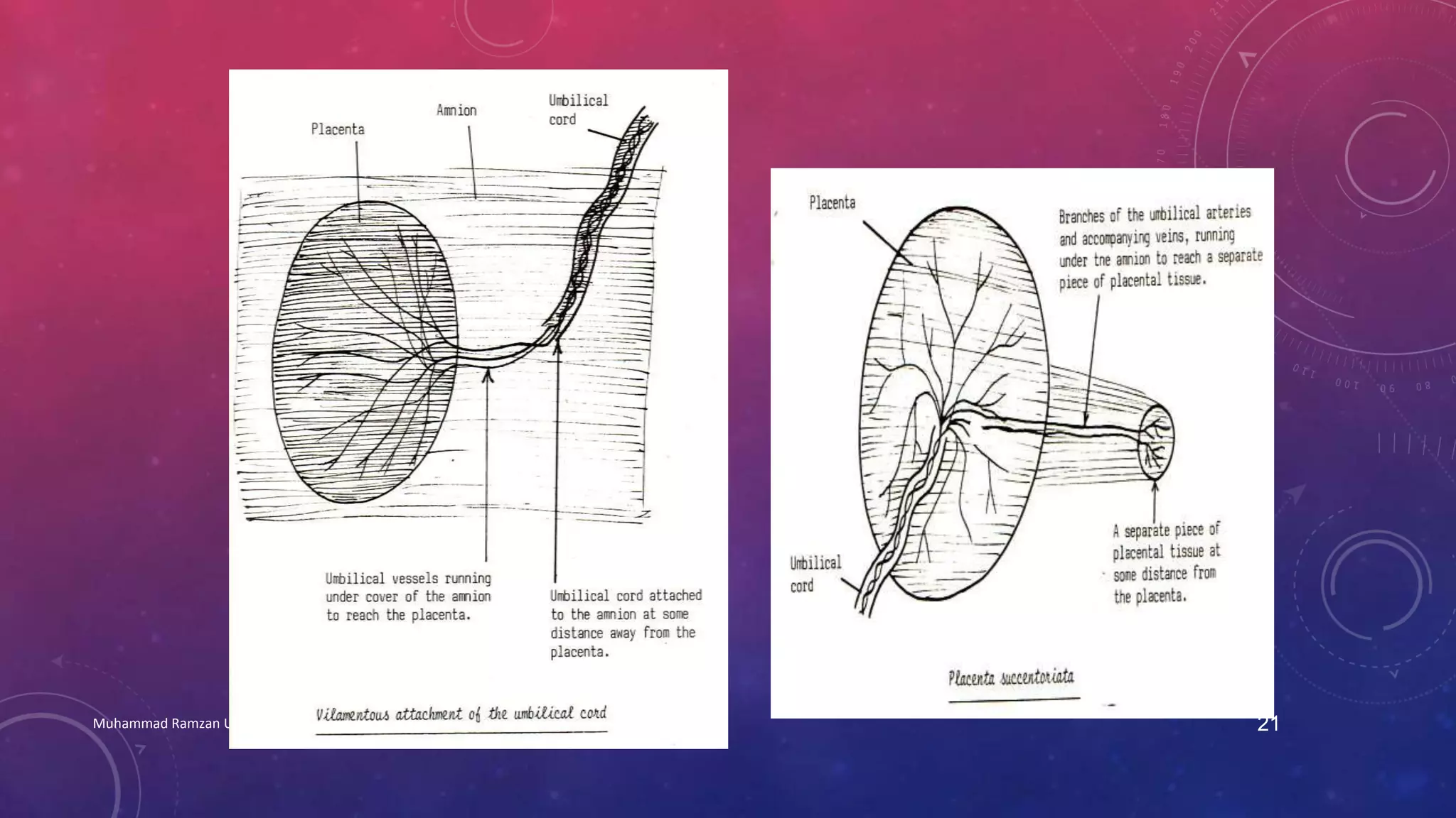 Muhammad Ramzan Ul Rehman 21 
 