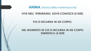 ANIMA (teoria della metempsicosi)
VIVE NELL’ IPERURANIO, DOVE CONOSCE LE IDEE.
POI SI INCARNA IN UN CORPO.
NEL MOMENTO IN CUI SI INCARNA IN UN CORPO
DIMENTICA LE IDEE
 