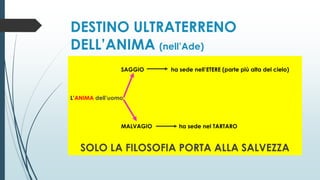 DESTINO ULTRATERRENO
DELL’ANIMA (nell’Ade)
SAGGIO ha sede nell’ETERE (parte più alta del cielo)
L’ANIMA dell’uomo
MALVAGIO ha sede nel TARTARO
SOLO LA FILOSOFIA PORTA ALLA SALVEZZA
 