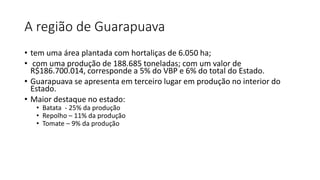 A região de Guarapuava
• tem uma área plantada com hortaliças de 6.050 ha;
• com uma produção de 188.685 toneladas; com um valor de
R$186.700.014, corresponde a 5% do VBP e 6% do total do Estado.
• Guarapuava se apresenta em terceiro lugar em produção no interior do
Estado.
• Maior destaque no estado:
• Batata - 25% da produção
• Repolho – 11% da produção
• Tomate – 9% da produção
 