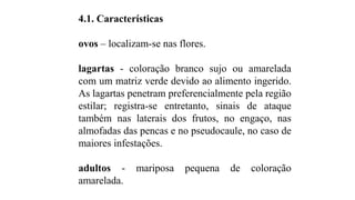 4.1. Características
ovos – localizam-se nas flores.
lagartas - coloração branco sujo ou amarelada
com um matriz verde devido ao alimento ingerido.
As lagartas penetram preferencialmente pela região
estilar; registra-se entretanto, sinais de ataque
também nas laterais dos frutos, no engaço, nas
almofadas das pencas e no pseudocaule, no caso de
maiores infestações.
adultos - mariposa pequena de coloração
amarelada.
 