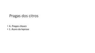 Pragas dos citros
• A. Pragas chaves
• 1. Ácaro da leprose
 