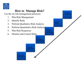 Design Project Risk Management Process Project Risk Management (10) | PPTX