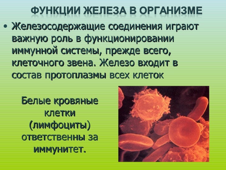 Биологическая роль железа. Железо микроэлемент биологическая роль. Биологическая роль железа. Железо биологическое значение. Роль железа в жизнедеятельности организмов.