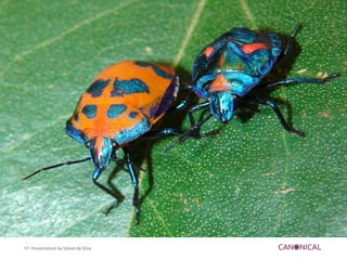 11 Presentation by Sidnei da Silva
 