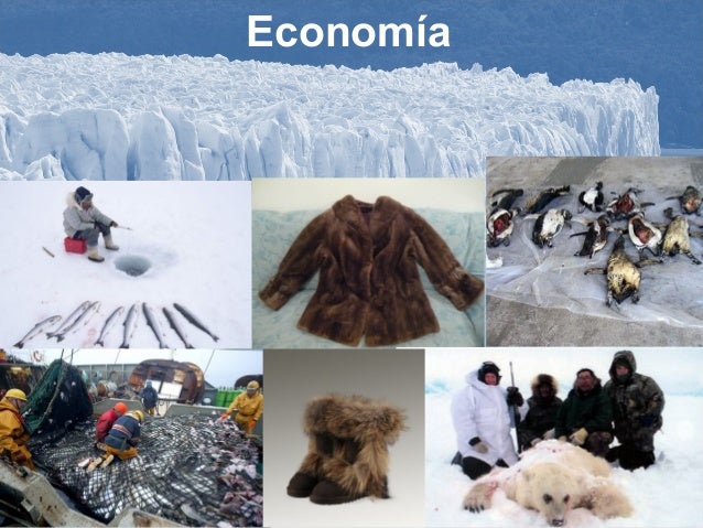 10 regiones naturales (zonas polares)