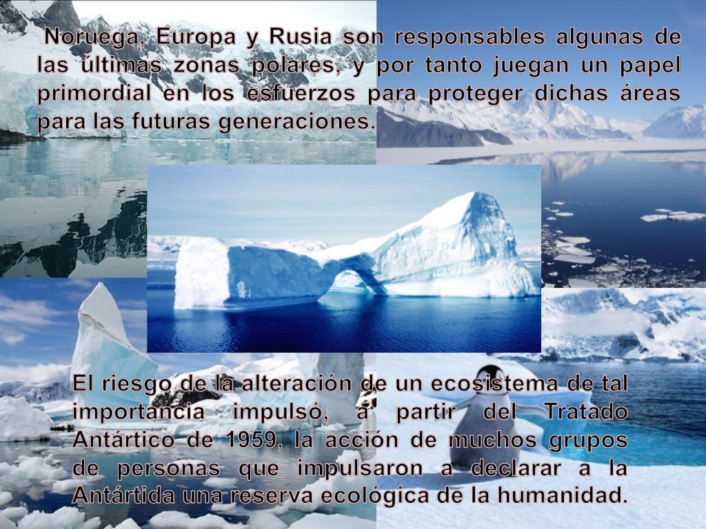 10 regiones naturales (zonas polares)