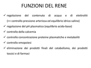 FUNZIONI DEL RENE
 regolazione del contenuto di acqua e di elettroliti
(=> controllo pressione arteriosa ed equilibrio idrico-salino)
 regolazione del pH plasmatico (equilibrio acido-base)
 controllo della calcemia
 controllo concentrazione proteine plasmatiche e metaboliti
 controllo emopoiesi
 eliminazione dei prodotti finali del catabolismo, dei prodotti
tossici e di farmaci
 