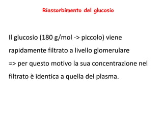 Il glucosio (180 g/mol -> piccolo) viene
rapidamente filtrato a livello glomerulare
=> per questo motivo la sua concentrazione nel
filtrato è identica a quella del plasma.
Riassorbimento del glucosio
 