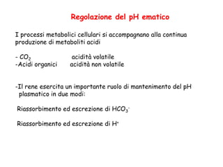 Regolazione del pH ematico
I processi metabolici cellulari si accompagnano alla continua
produzione di metaboliti acidi
- CO2 acidità volatile
-Acidi organici acidità non volatile
-Il rene esercita un importante ruolo di mantenimento del pH
plasmatico in due modi:
Riassorbimento ed escrezione di HCO3
-
Riassorbimento ed escrezione di H+
 