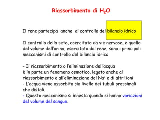 Riassorbimento di H2O
Il rene partecipa anche al controllo del bilancio idrico
Il controllo della sete, esercitato da vie nervose, e quello
del volume dell’urina, esercitato dal rene, sono i principali
meccanismi di controllo del bilancio idrico
- Il riassorbimento o l’eliminazione dell’acqua
è in parte un fenomeno osmotico, legato anche al
riassorbimento o all’eliminazione del Na+ e di altri ioni
- L’acqua viene assorbita sia livello dei tubuli prossimali
che distali.
- Questo meccanismo si innesta quando si hanno variazioni
del volume del sangue.
 