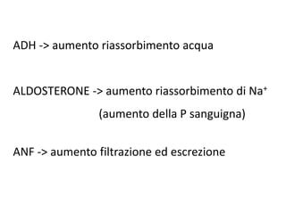 ADH -> aumento riassorbimento acqua
ALDOSTERONE -> aumento riassorbimento di Na+
(aumento della P sanguigna)
ANF -> aumento filtrazione ed escrezione
 