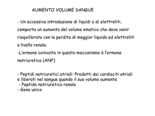 - Un eccessiva introduzione di liquidi o di elettroliti,
comporta un aumento del volume ematico che deve venir
riequilibrato con la perdita di maggior liquido ed elettroliti
a livello renale.
-L’ormone coinvolto in questo meccanismo è l’ormone
natriuretico (ANF)
- Peptidi natriuretici atriali: Prodotti dai cardiociti atriali
e liberati nel sangue quando il suo volume aumenta
- Peptide natriuretico renale
- Gene unico
AUMENTO VOLUME SANGUE
 