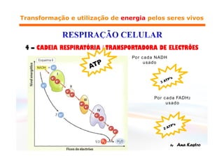 Por cada NADH
     usado




        Por cada FADH2
             usado
 