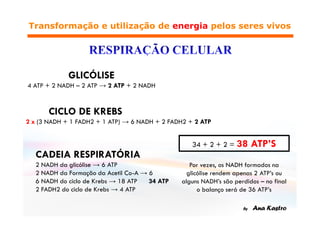 →




        →




→
            →
    →
    →
 