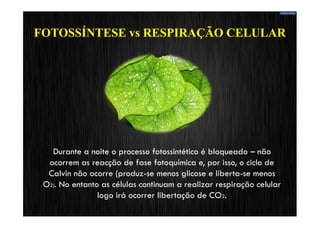 FOTOSSÍNTESE vs RESPIRAÇÃO CELULAR
 