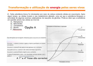 Respiração e Fermentação