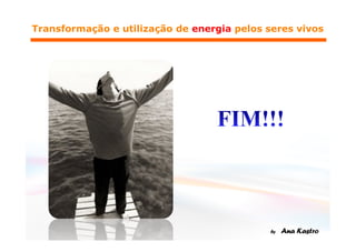 Respiração e Fermentação