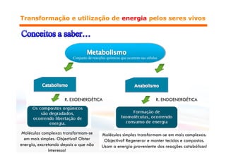 Conjunto de reacções químicas que ocorrem nas células
 