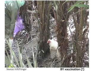 Risk management: Part 2