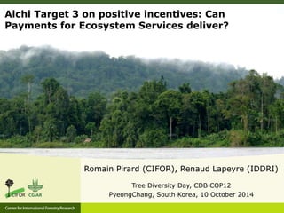 Aichi Target 3 on positive incentives: Can 
Payments for Ecosystem Services deliver? 
Romain Pirard (CIFOR), Renaud Lapeyre (IDDRI) 
Tree Diversity Day, CDB COP12 
PyeongChang, South Korea, 10 October 2014 
 