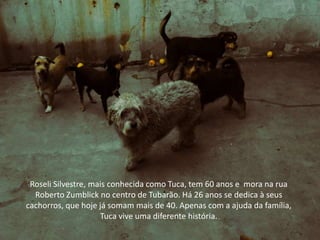 Roseli Silvestre, mais conhecida como Tuca, tem 60 anos e mora na rua
Roberto Zumblick no centro de Tubarão. Há 26 anos se dedica à seus
cachorros, que hoje já somam mais de 40. Apenas com a ajuda da família,
Tuca vive uma diferente história.
 