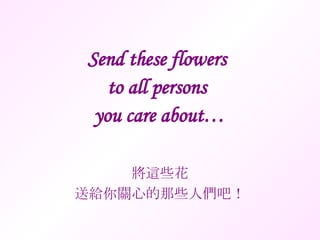Send these flowers  to all persons  you care about… 將這些花 送給你關心的那些人們吧！ 