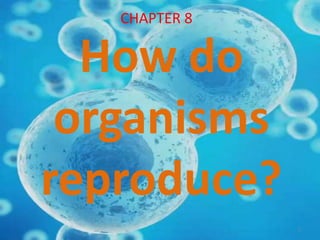 CHAPTER 8
How do
organisms
reproduce?
1
 