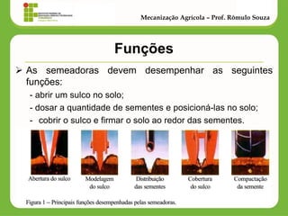 Funções 
As semeadoras devem desempenhar as seguintes funções: 
- abrir um sulco no solo; 
- dosar a quantidade de sementes e posicioná-las no solo; 
-cobrir o sulco e firmar o solo ao redor das sementes. 
Mecanização Agrícola – Prof. Rômulo Souza  