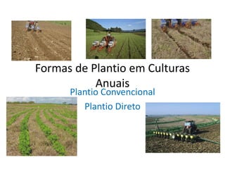 Formas de Plantio em Culturas Anuais 
Plantio Convencional 
Plantio Direto  