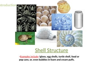 Comprehensive Overview of Shell Structures in Architecture and ...