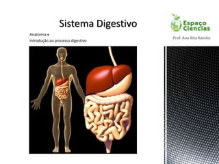 Anatomia e
Introdução ao processo digestivo
Prof. Ana Rita Rainho
 