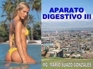 APARATO  DIGESTIVO III MG. MARIO SUAZO GONZALES 