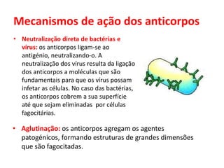 • Neutralização direta de bactérias e
vírus: os anticorpos ligam-se ao
antigénio, neutralizando-o. A
neutralização dos vírus resulta da ligação
dos anticorpos a moléculas que são
fundamentais para que os vírus possam
infetar as células. No caso das bactérias,
os anticorpos cobrem a sua superfície
até que sejam eliminadas por células
fagocitárias.
• Aglutinação: os anticorpos agregam os agentes
patogénicos, formando estruturas de grandes dimensões
que são fagocitadas.
Mecanismos de ação dos anticorpos
 